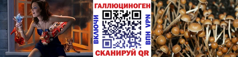 Псилоцибиновые грибы Psilocybine cubensis  продажа наркотиков  Пойковский 